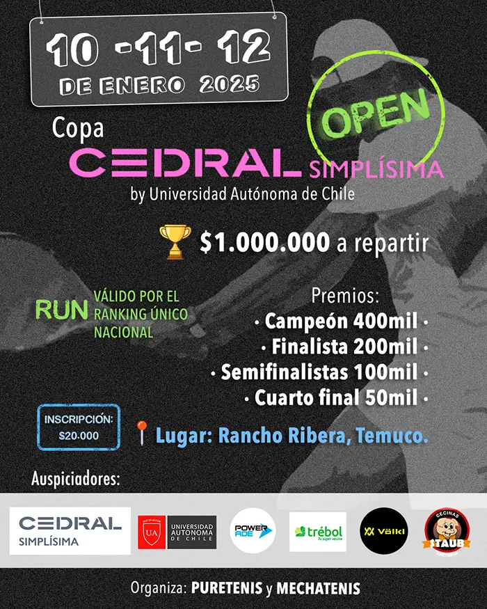 afiche para promocionar campeonato de tenis en temuco
