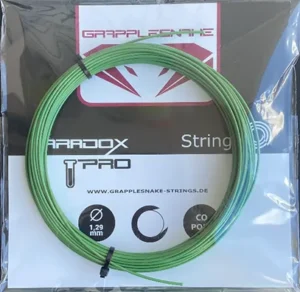 Paradox Pro