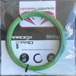 Paradox Pro